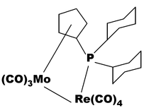 [Contents scheme]