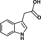 [Contents scheme]