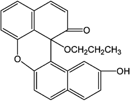 [Contents scheme]