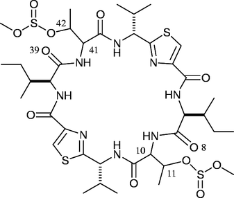 [Contents scheme]