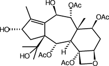 [Contents scheme]