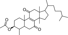 [Contents scheme]