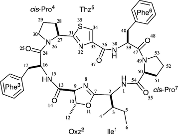 [Contents scheme]