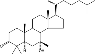 [Contents scheme]