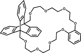 [Contents scheme]