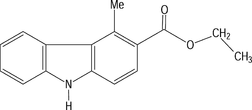 [Contents scheme]