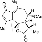 [Contents scheme]