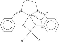 [Contents scheme]