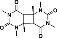[Contents scheme]