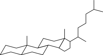 [Contents scheme]
