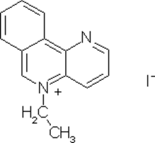 [Contents scheme]