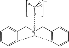 [Contents scheme]