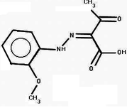 [Contents scheme]