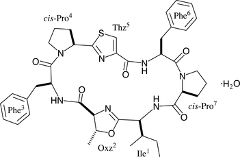 [Contents scheme]