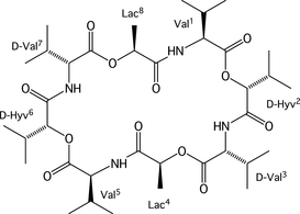 [Contents scheme]