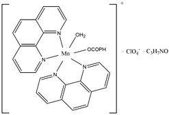 [Contents scheme]