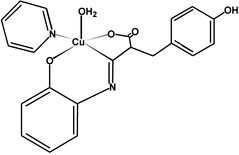 [Contents scheme]