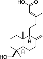 [Contents scheme]