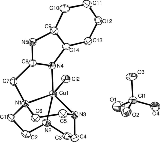 [Figure 1]