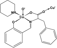 [Contents scheme]
