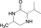 [Contents scheme]