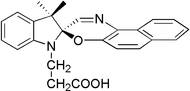 [Contents scheme]