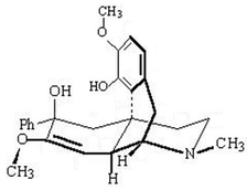 [Contents scheme]