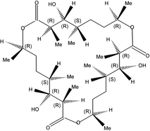 [Contents scheme]