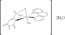 [Contents scheme]