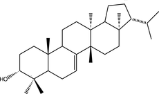 [Contents scheme]