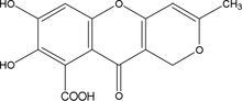 [Contents scheme]