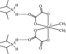 [Contents scheme]