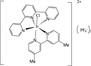 [Contents scheme]