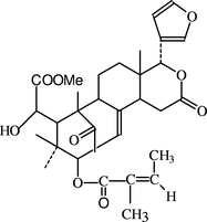 [Contents scheme]