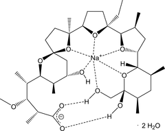 [Contents scheme]