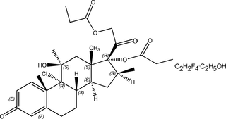 [Contents scheme]