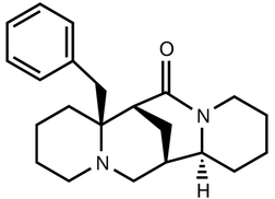 [Contents scheme]