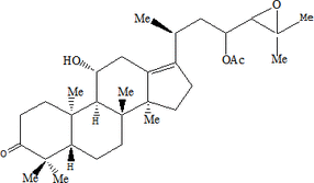[Contents scheme]