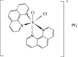 [Contents scheme]