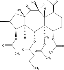 [Contents scheme]