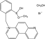 [Contents scheme]