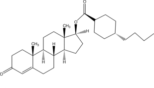 [Contents scheme]