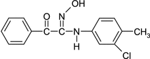 [Contents scheme]