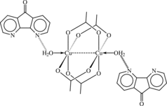 [Contents scheme]