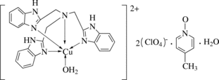 [Contents scheme]