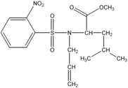 [Contents scheme]