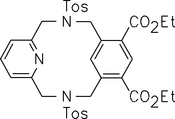 [Contents scheme]