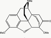 [Contents scheme]