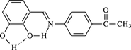 [Contents scheme]