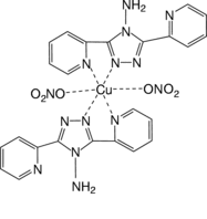 [Contents scheme]